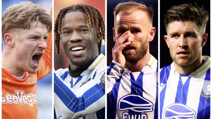 Sheffield Wednesday have plenty of decisions to make in the summer