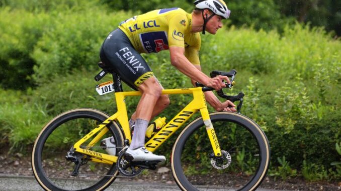 bettiniphoto_0523854_1_originali-750x430