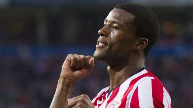 georginio-wijnaldum-psv-eindhoven_3277644