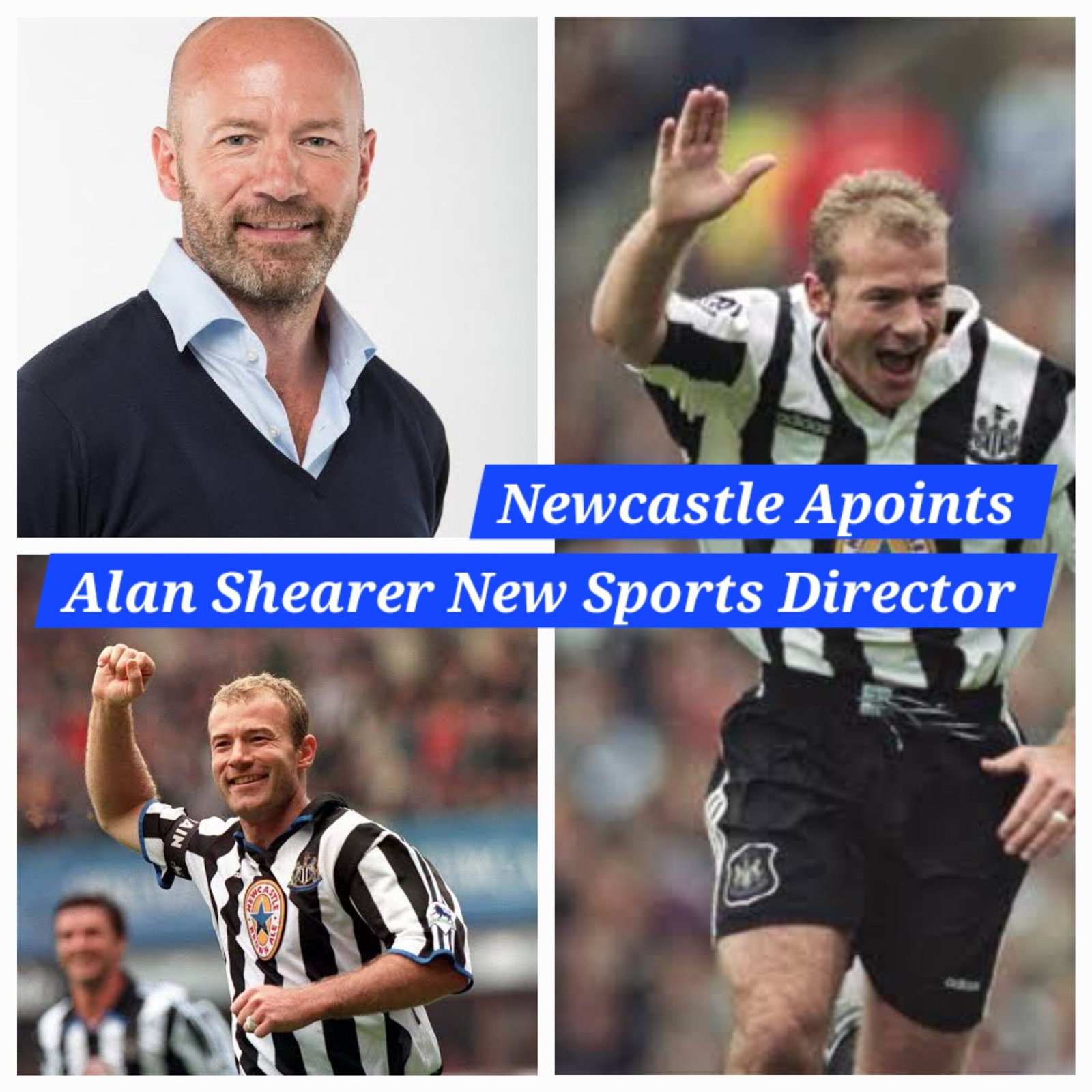 Good news: Alan Shearer AKA Mr Newcastle United Appointed